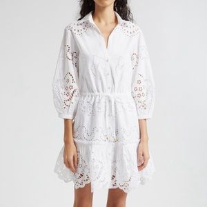 NEW Robin Embroidered Cotton Poplin Mini Dress